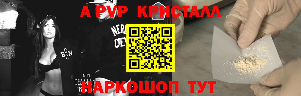 A PVP СК КРИС Славгород