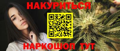 индика Моздок
