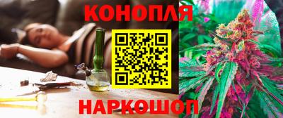 индика Моздок