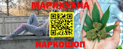 индика Моздок