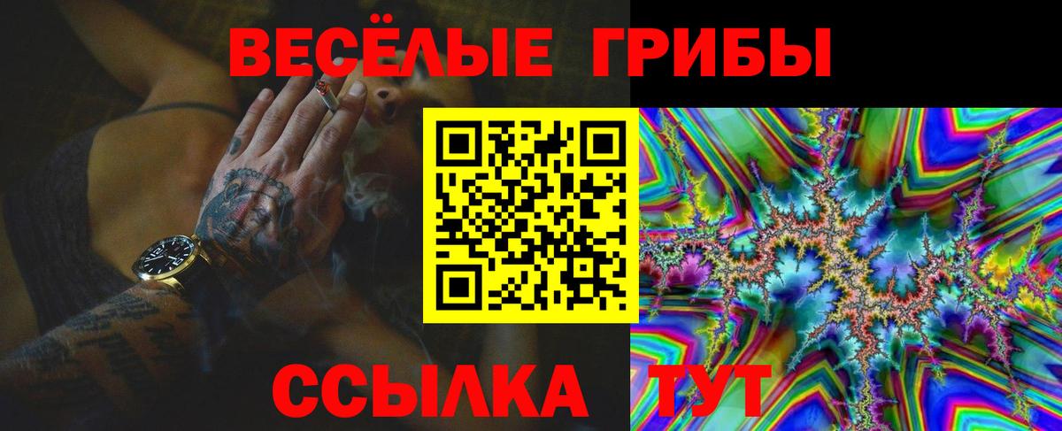 Псилоцибиновые грибы GOLDEN TEACHER Славгород