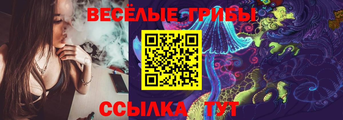где можно купить наркотик  Галлюциногенные грибы мицелий  Вход с VPN  Славгород 